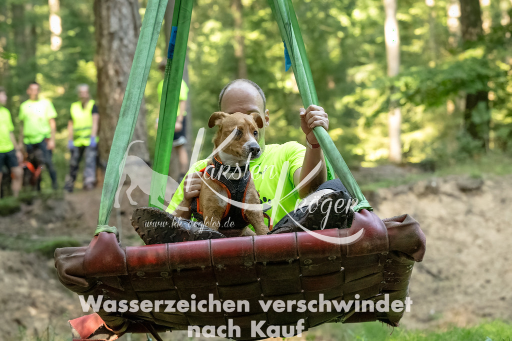 1411_ZZ94769-Bearbeitet-2 | kk-dogfotos