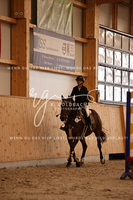 1J2A3699Fiby Sosna_ D_Amour du Foret Z_ Kn197_ Hohen Wieschendorf_ Glantz | Foto- und Videografie für alles rund ums Pferd. Hochwertige Bilder und Videos vom Spring- und Dressurreiten, Voltigieren & mehr. Jetzt aktuelle Veranstaltungen und Preise im Shop ansehen. - Realisiert mit Pictrs.com