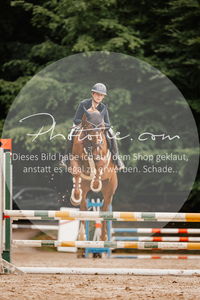 3I6A2469 | Stimmungsvolle Portraits und Reitsportfotografie im Ruhrgebiet und im Münsterland.

Pferdefotografie, Hundefotografie, Tierfotografie, Reportagen, Portraits von Tier und Mensch, Turnierfotografie in Bochum, Recklinghausen, Marl, Haltern am See, Dülmen.. - Realisiert mit Pictrs.com