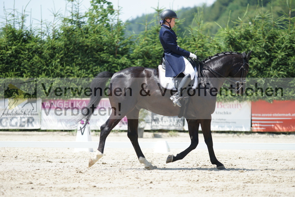 DSC05203 | equestrian-live-com