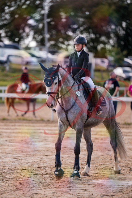 2026_10_03_Siefer-Hof_144949_Z81_27994876 | Professionelle Reitsport-, Turnier- und Eventfotografie von Robert Broda. Galerien mit ausgewählten und bearbeiteten Bildern direkt online ansehen und bestellen.