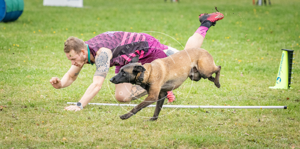 Pfotenfotografie_DV3A0822 | Hundefotografie, Tierfotograf, Pfotenfotografie, Fotoshooting Hund, Hunde Portrait, Hundesport, Hundeportraits, Heideshooting, Hunde, Sportfotograf, Hundefotograf, Turnierhundsport, THS,  - Realisiert mit Pictrs.com