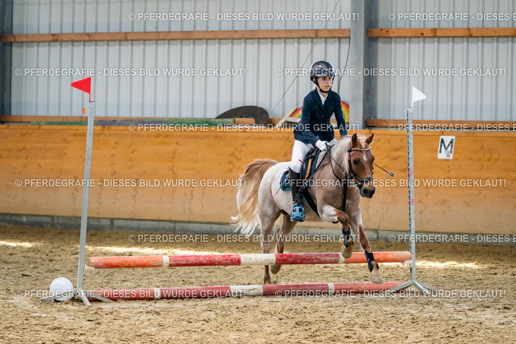 DSC02348 | Pferdegrafie