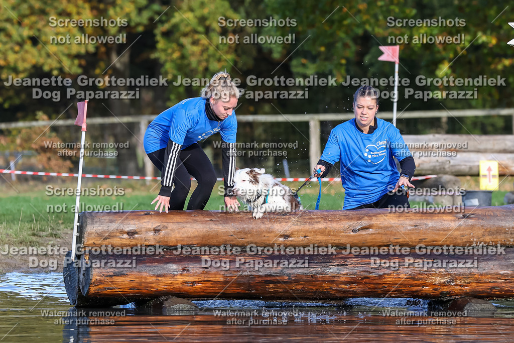 Dog Paparazzi - Strongdog 10-25-8534 | Dog Paparazzi Jeanette Grottendiek Fotografie & Videografie - Realisiert mit Pictrs.com