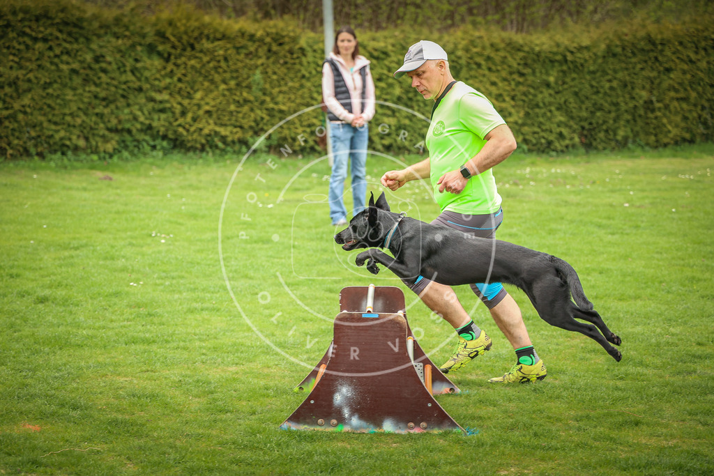 Pfotenfotografie_0L8A9822 | Hundefotografie, Tierfotograf, Pfotenfotografie, Fotoshooting Hund, Hunde Portrait, Hundesport, Hundeportraits, Heideshooting, Hunde, Sportfotograf, Hundefotograf, Turnierhundsport, THS,  - Realisiert mit Pictrs.com
