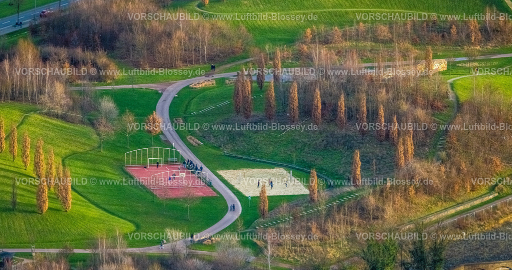 Essen230101592 | Luftbild, Krupp-Park Sportanlage, Wiesen mit Baumreihe, Westviertel, Essen, Ruhrgebiet, Nordrhein-Westfalen, Deutschland