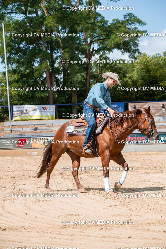 ZS3_9623 | dv-media-shop - Realisiert mit Pictrs.com