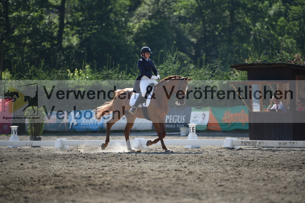 DSC_2412 | equestrian-live-com