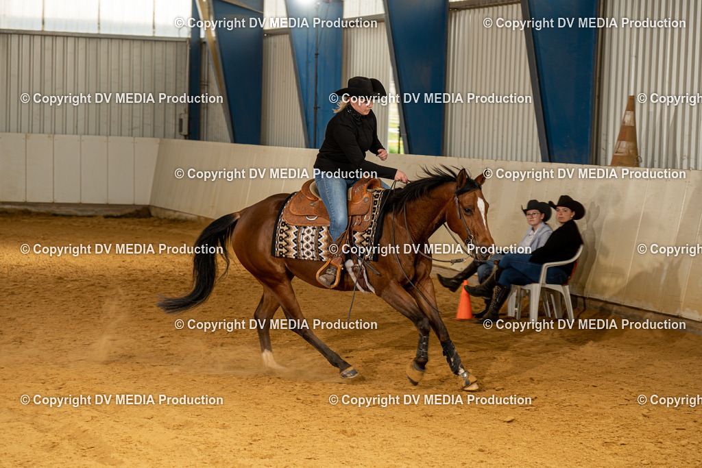 MIT00296 | dv-media-shop - Realisiert mit Pictrs.com