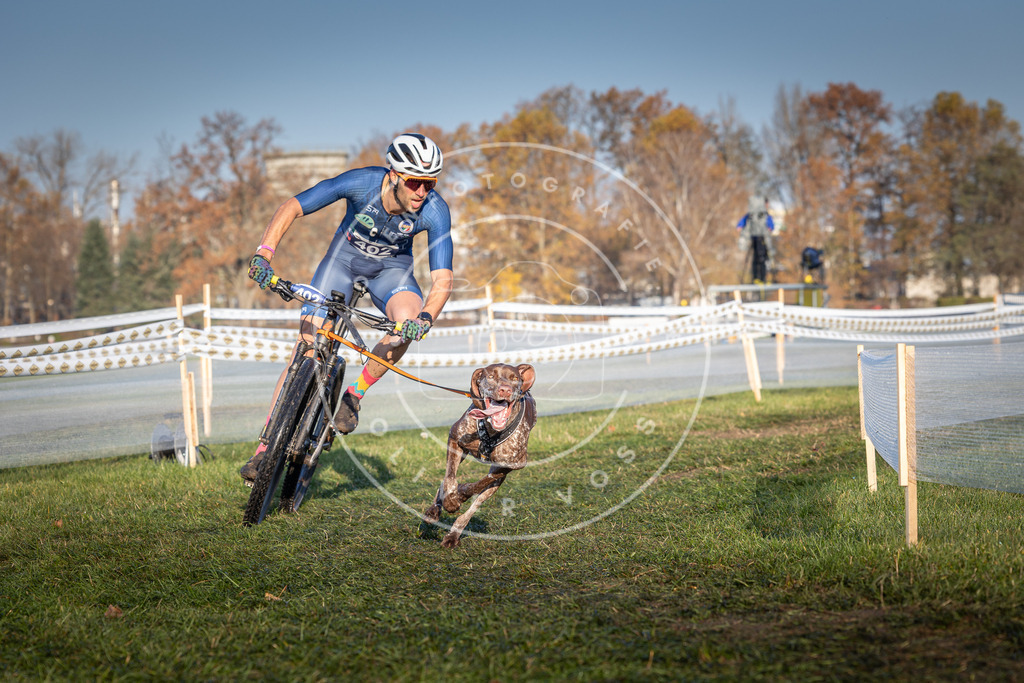 CaniXpix_0L8A3976 | Hundefotografie, Tierfotograf, Pfotenfotografie, Fotoshooting Hund, Hunde Portrait, Hundesport, Hundeportraits, Heideshooting, Hunde, Sportfotograf, Hundefotograf, Turnierhundsport, THS,  - Realisiert mit Pictrs.com