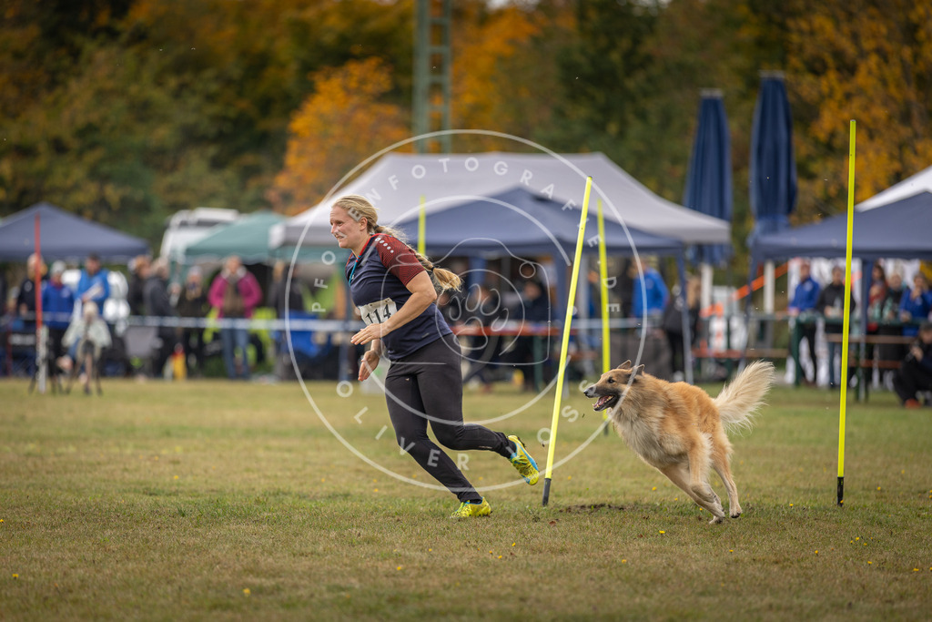 Pfotenfotografie_DV3A6885 | Hundefotografie, Tierfotograf, Pfotenfotografie, Fotoshooting Hund, Hunde Portrait, Hundesport, Hundeportraits, Heideshooting, Hunde, Sportfotograf, Hundefotograf, Turnierhundsport, THS,  - Realisiert mit Pictrs.com