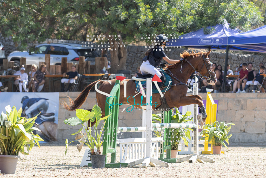 IMG_5477 | s-jay-photography - Realisiert mit Pictrs.com