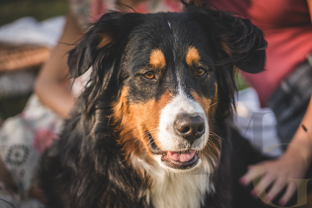 MGFoto-0047 | Newborn - Realisiert mit Pictrs.com