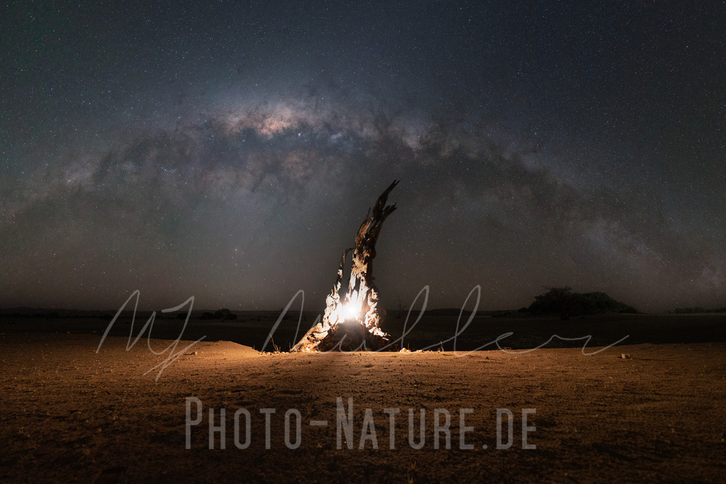 Die Milchstraße | Ein mystischer Baum unter der Milchstraße - Realisiert mit Pictrs.com