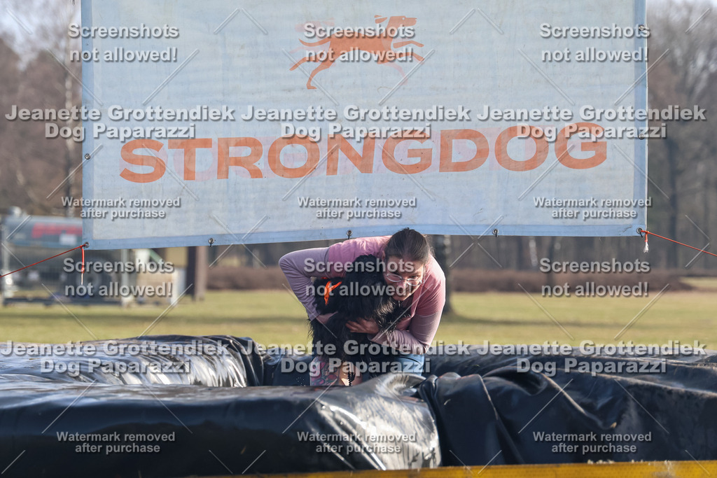 Dog Paparazzi - Strongdog North Mrz26-751 | Dog Paparazzi Jeanette Grottendiek Fotografie & Videografie - Realisiert mit Pictrs.com