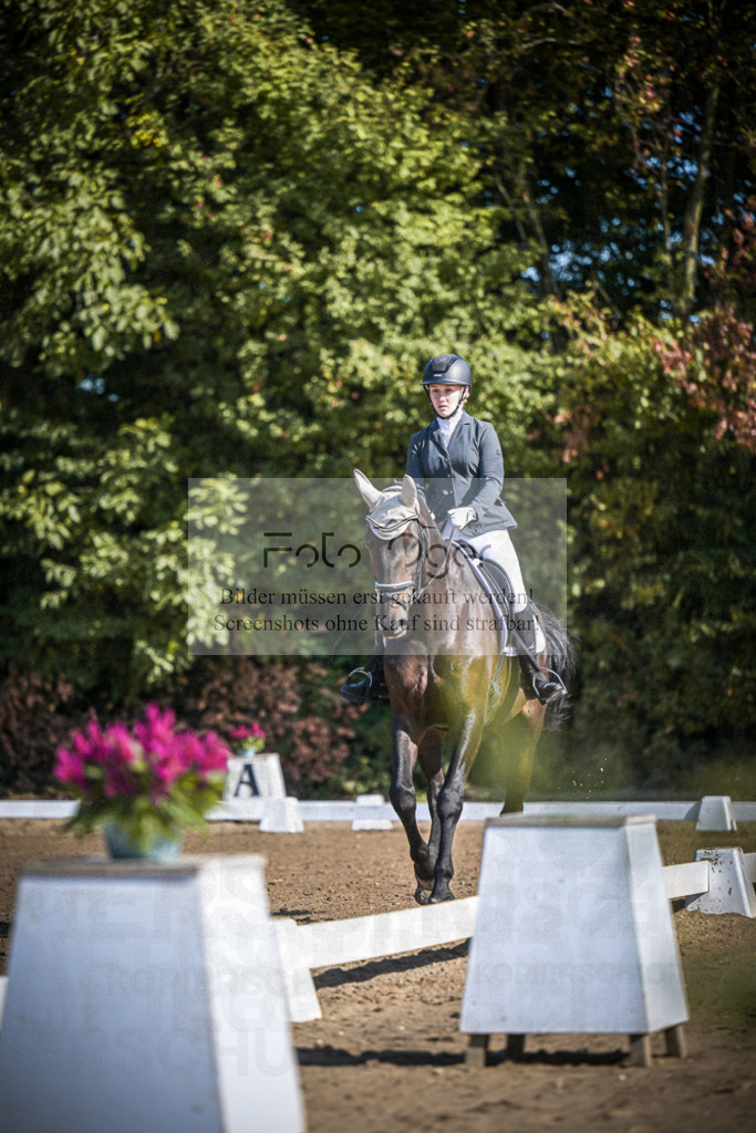 DOS_2462 | Entdecke hochwertige Reitturnierfotos von Foto Oger. Professionell, emotional und authentisch – jetzt Lieblingsmomente im Shop bestellen.Deutschlandweite Turnierfotografie. - Realisiert mit Pictrs.com