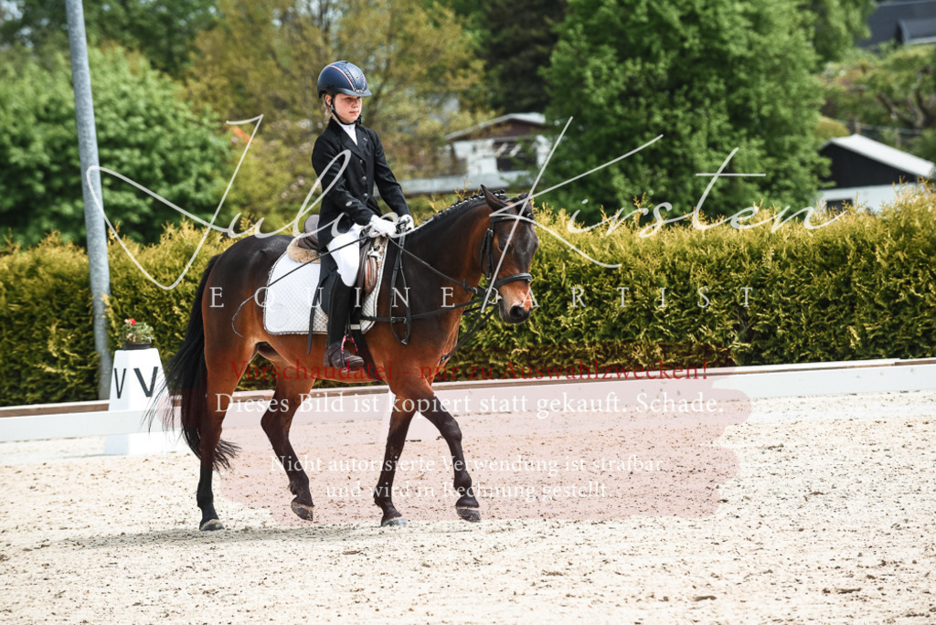 20230518_JK-Röhrsdorf-11-0149 | Pferde- und Turnierfotografie in Westsachsen. Pferdeportraits, Auftragszeichnungen und intuitive Kunst.