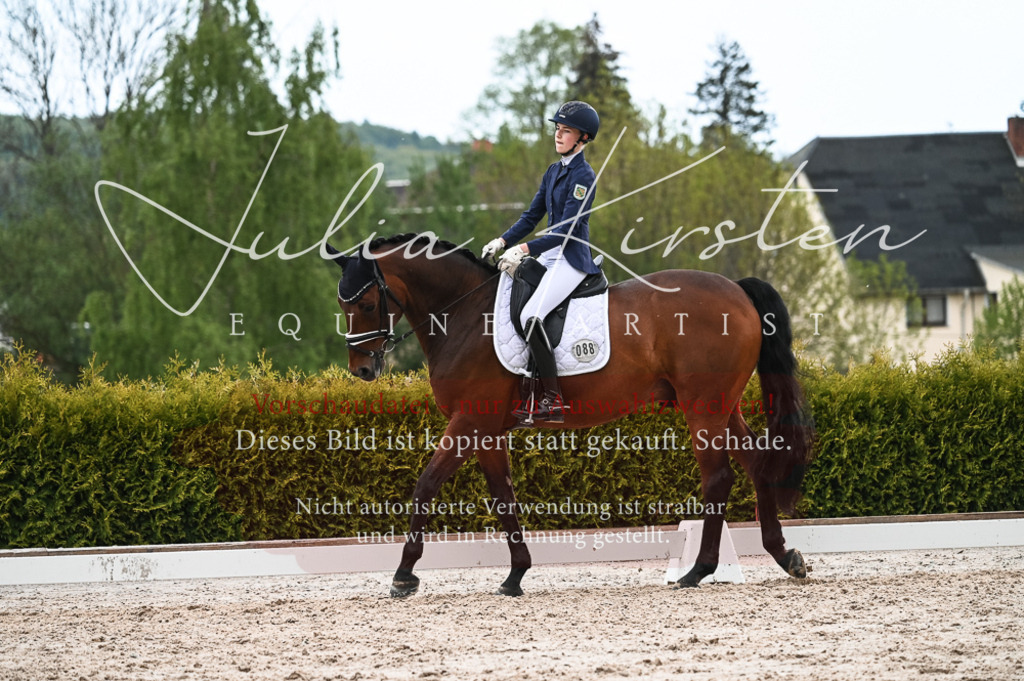 20230513_JK-Röhrsdorf-11-267 | Pferde- und Turnierfotografie in Westsachsen. Pferdeportraits, Auftragszeichnungen und intuitive Kunst.
