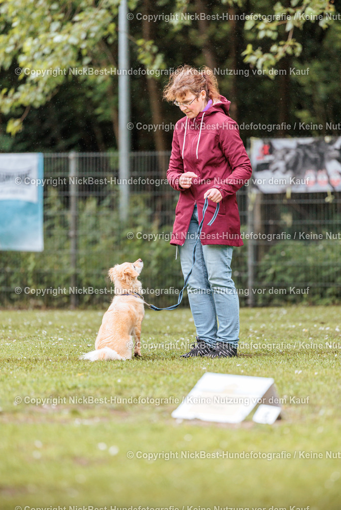 RO-Blumenthal-2026-Nickbest-Hundefotografie-0631 | Dein Hund! Dein Moment! Deine Erinnerungen! Hundefotografie in Bremen Blumenthal. Ich fange die besonderen Momente deines Vierbeiners ein – ob Indoor mit Blitzanlage oder in der freien Natur. Sicher dir dein Moment und dein Termin für eure Erinnerungen.