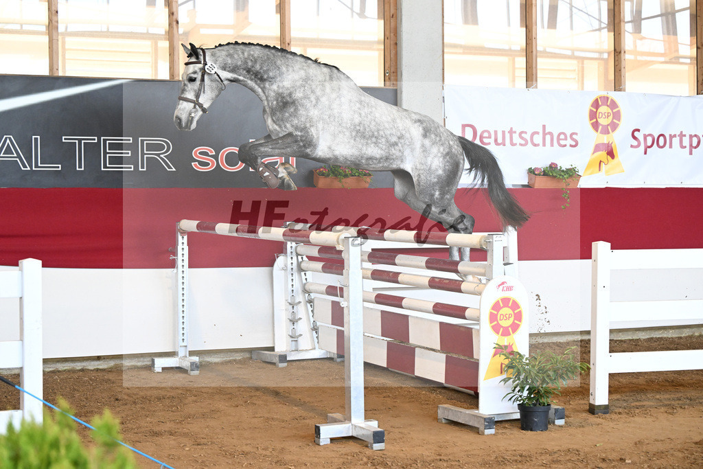 Kat-Nr. 50 Chuck Bass ZSZ v. Cahil_Hieber_7251153 | hf-fotografie - Realizzato con Pictrs.com