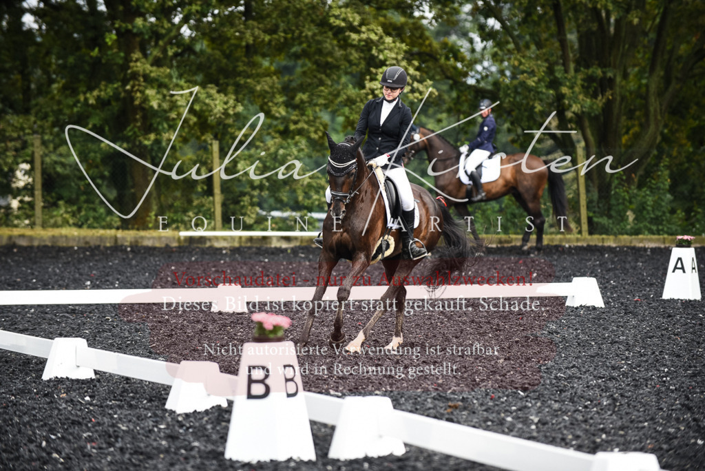 DSC_3014 | Pferde- und Turnierfotografie in Westsachsen. Pferdeportraits, Auftragszeichnungen und intuitive Kunst.
