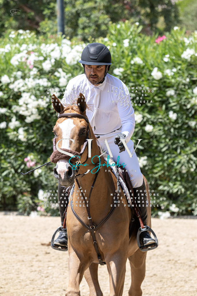 IMG_0771 | s-jay-photography - Realisiert mit Pictrs.com