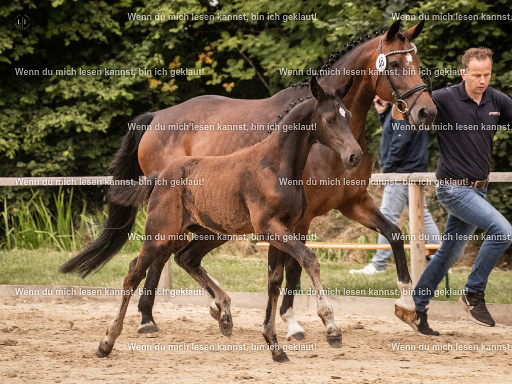 A10I4369 15.58.11 | photographylinaismer - Realisiert mit Pictrs.com