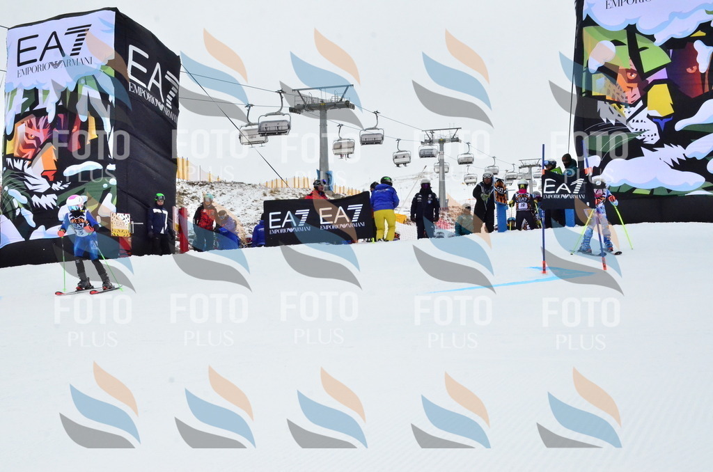 _ELE3193 | holidayphoto