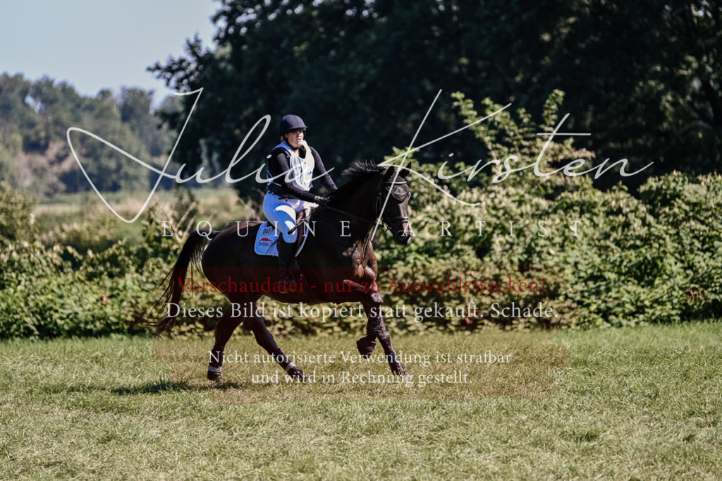 DSC_1630 | Pferde- und Turnierfotografie in Westsachsen. Pferdeportraits, Auftragszeichnungen und intuitive Kunst.