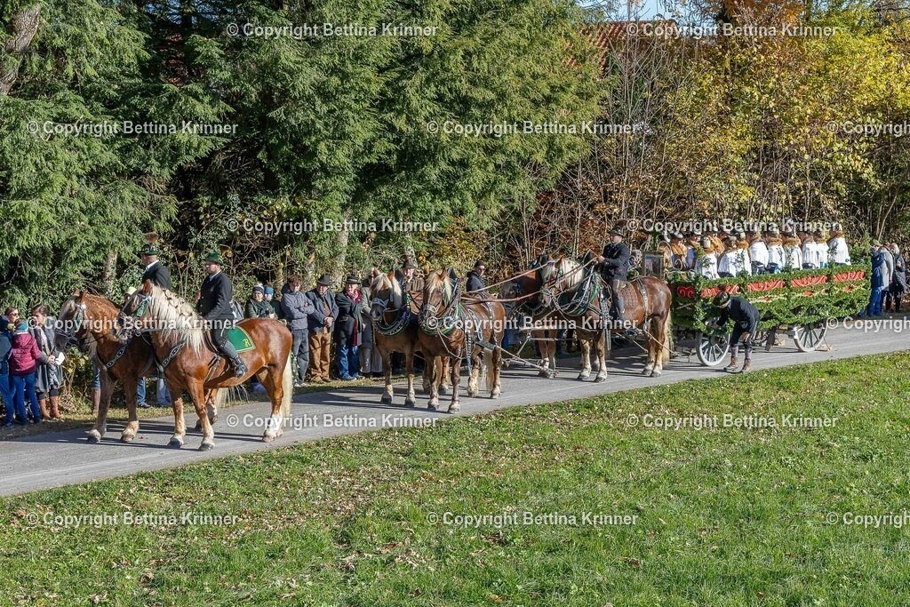 LBT25-241 | foto-bettina-krinner - Realisiert mit Pictrs.com