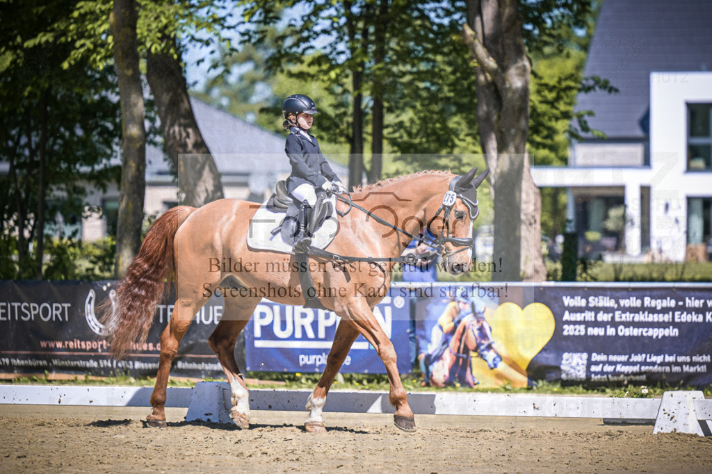DOS_8357 | Entdecke hochwertige Reitturnierfotos von Foto Oger. Professionell, emotional und authentisch – jetzt Lieblingsmomente im Shop bestellen.Deutschlandweite Turnierfotografie. - Realisiert mit Pictrs.com