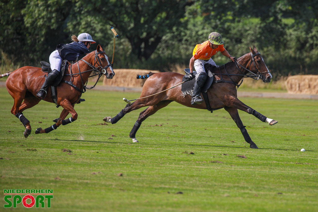 Polo_Willich_070623_072 | Bildergalerie von Sport-Ereignissen aber auch von weiteren spannenden Dingen - nicht nur vom Niederrhein. In Anlehnung an den bekannten Spruch von Hanns Dieter Hüsch heißt das Motto: "Niederrhein ist überall".  - Realisiert mit Pictrs.com