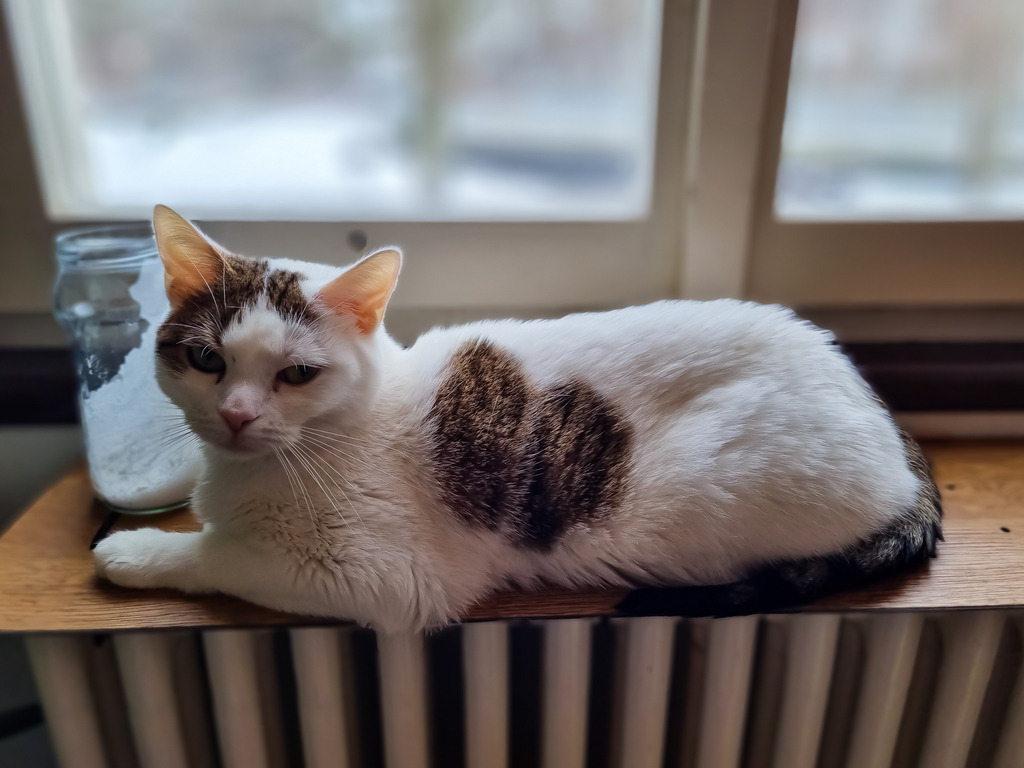 PSX_20230123_215635 | mtkfoto_ - Realisiert mit Pictrs.com