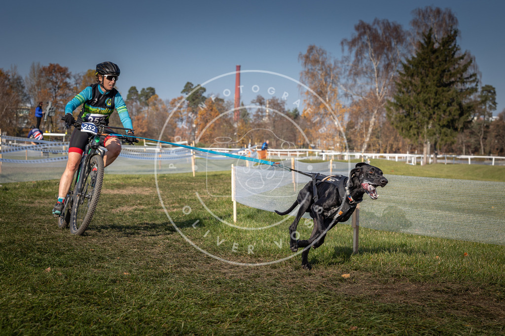 CaniXpix_0L8A7395 | Hundefotografie, Tierfotograf, Pfotenfotografie, Fotoshooting Hund, Hunde Portrait, Hundesport, Hundeportraits, Heideshooting, Hunde, Sportfotograf, Hundefotograf, Turnierhundsport, THS,  - Realisiert mit Pictrs.com