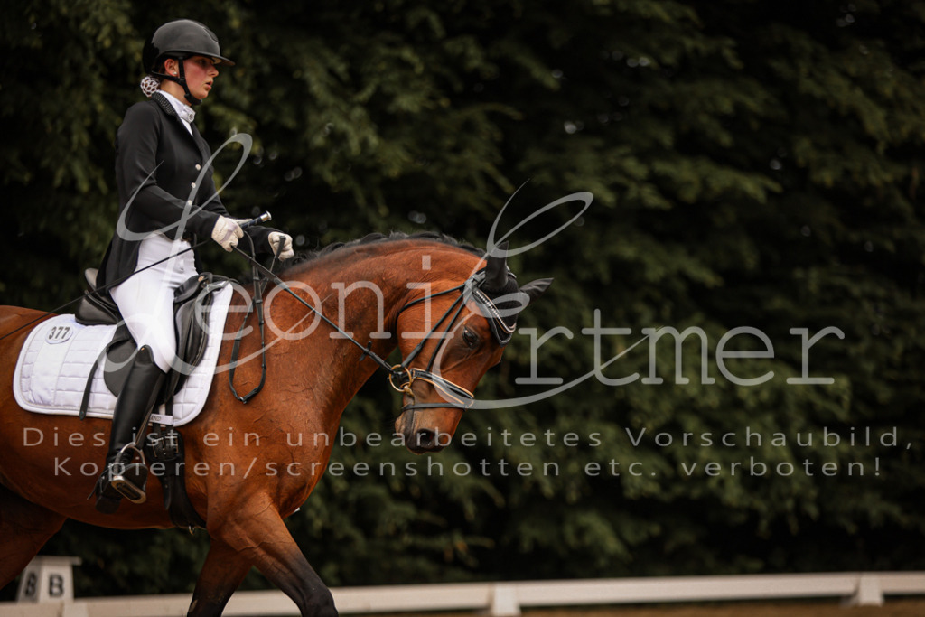 DoDrA200230 | Leoni Ertmer Photography - Realisiert mit Pictrs.com