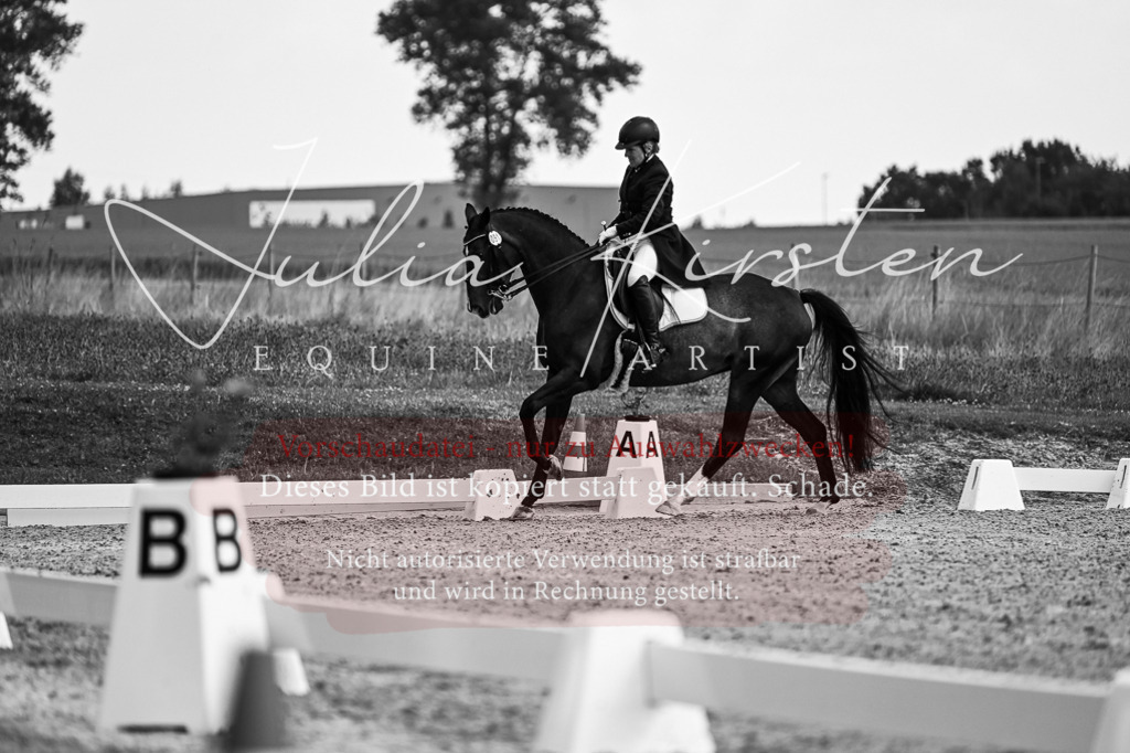 DSC_2266 | Pferde- und Turnierfotografie in Westsachsen. Pferdeportraits, Auftragszeichnungen und intuitive Kunst.