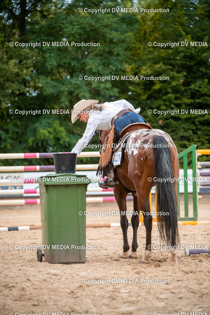 ZS2_8085 | dv-media-shop - Realisiert mit Pictrs.com