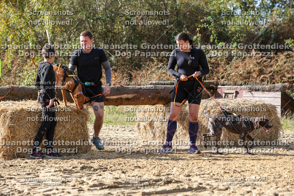 Dog Paparazzi - Strongdog 10-25-5478 | Dog Paparazzi Jeanette Grottendiek Fotografie & Videografie - Realisiert mit Pictrs.com