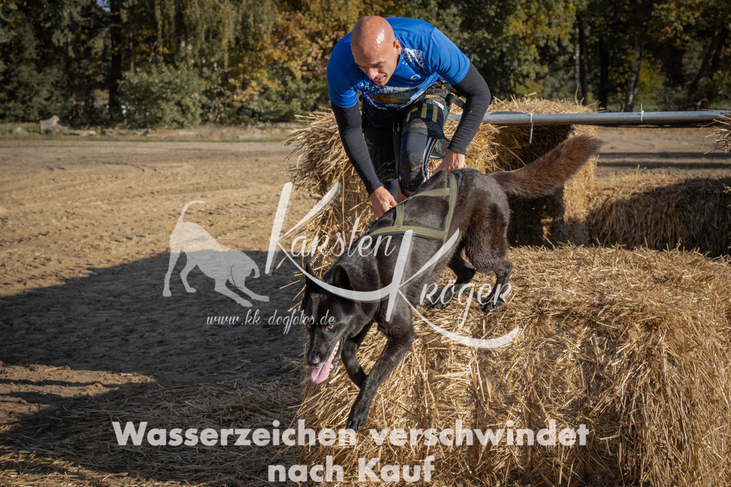 1105_ZZ90043 | kk-dogfotos