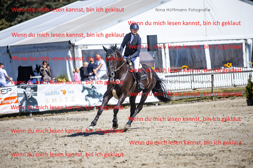 BK1A5585 | Turnierbilder Turnierfotos Nina Hüffmann Turnierfotografie Pferdefotografie Tierzeichnung Haustierzeichnung Pferdezeichnung Hundezeichnung Videograf  - Realisiert mit Pictrs.com