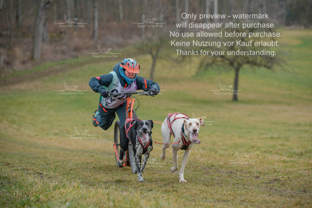 Sa_Scooter2-47 | stephaniefillaphotographie - Realisiert mit Pictrs.com