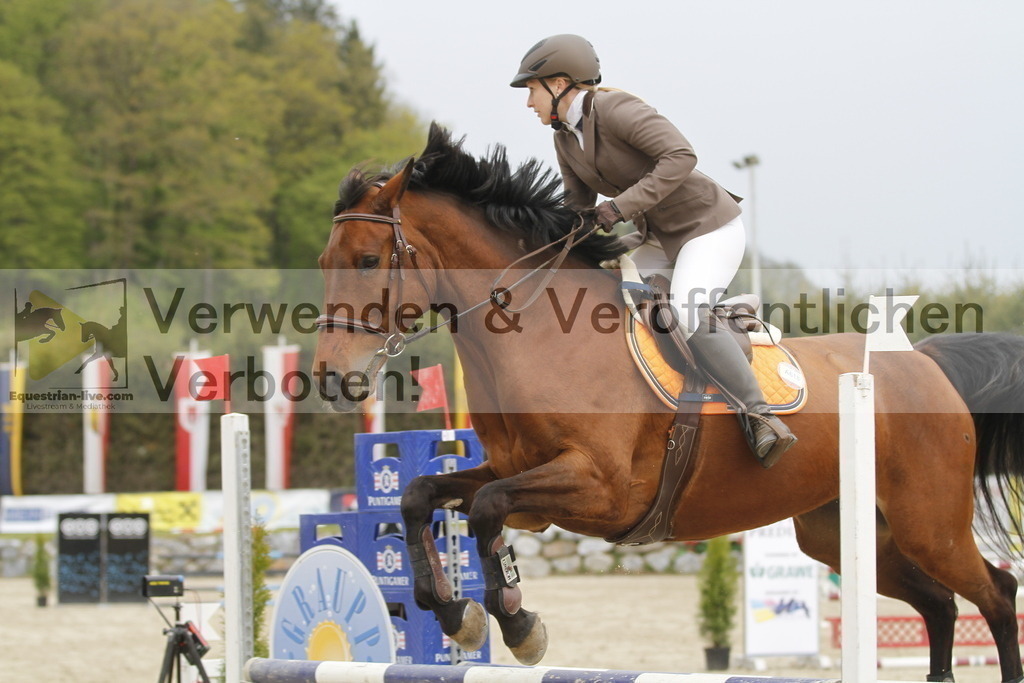 _MG_1101 | equestrian-live-com