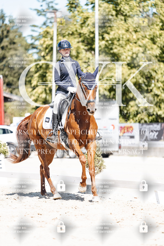 CK909694 | Turnierfotografie Pferdefotografie Trier Rheinland-Pfalz Pferdesport Reitsport Tierfotografie Sportfotografie Pferdevideo Pferdevideografie Equestrianvideography equestrianphotography  - Realisiert mit Pictrs.com