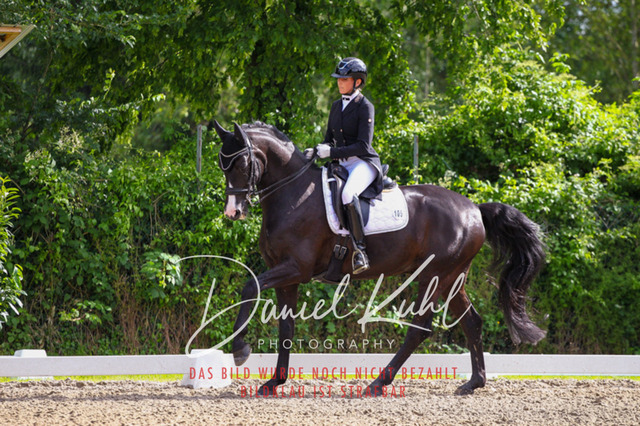 DKP41534 | Deine Turnierfotos vom Reitturnier online kaufen: Dressur, Springen & Siegerehrung. Professionelle Pferdefotografie aus dem Rheinland – als Download & Print.Alternative: Turnierfotograf für den Pferdesport: Finde deine Fotos von Dressur- und Springturnier