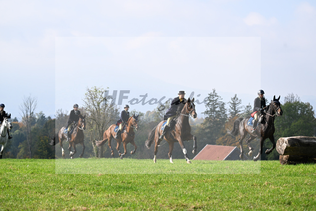 40250169 | hf-fotografie - Realizzato con Pictrs.com