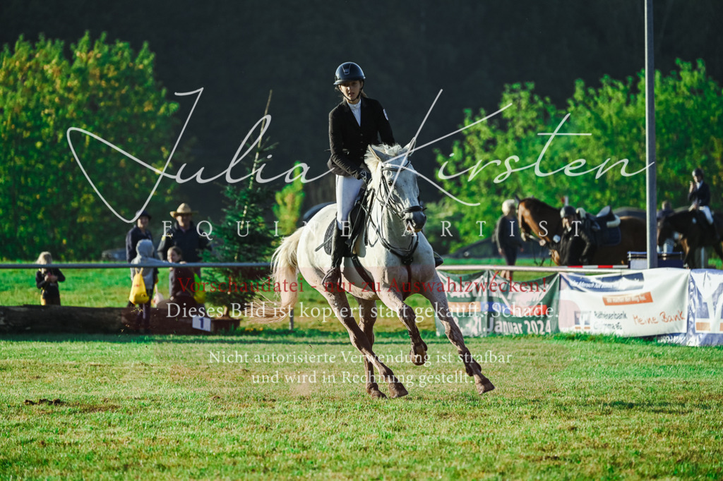 DSC_4049 | Pferde- und Turnierfotografie in Westsachsen. Pferdeportraits, Auftragszeichnungen und intuitive Kunst.