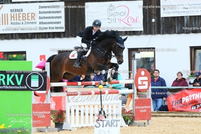 OHT2421 | Fotografie, Tiere, Hunde, Katzen, Pferde, Sportfotografie, Fotosession, Tierfotografie, Turnierfotografie, Fotografin, Fotograf - Realisiert mit Pictrs.com