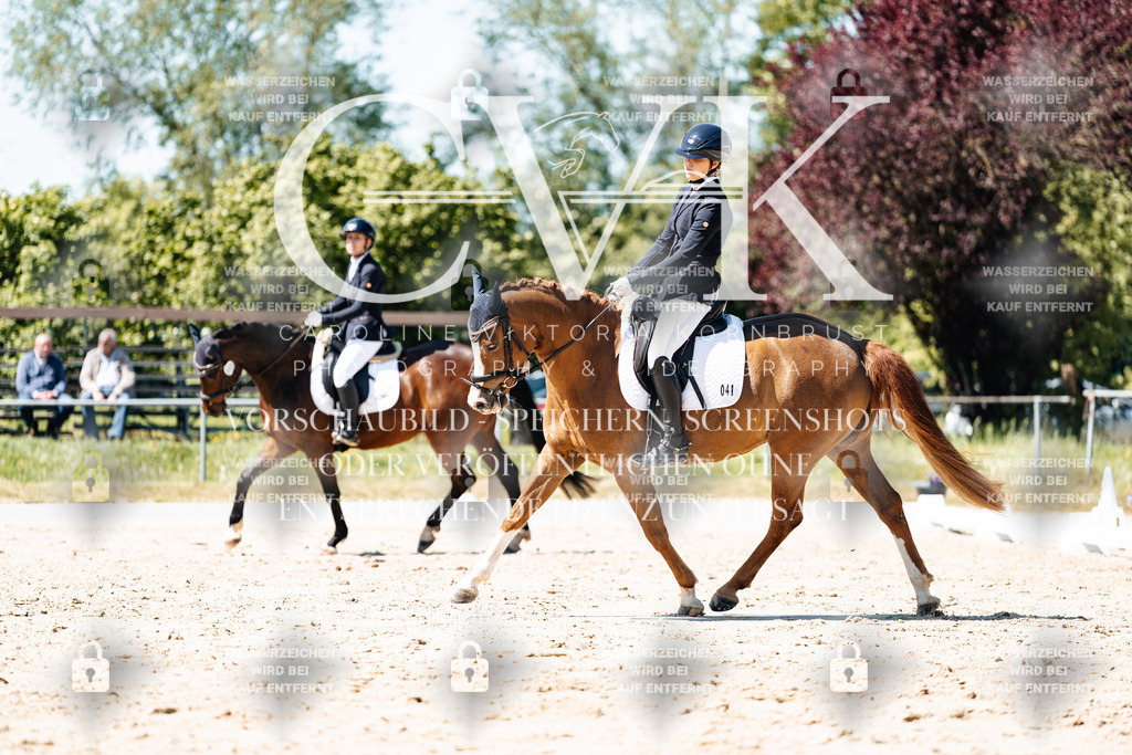 CK905643 | Turnierfotografie Pferdefotografie Trier Rheinland-Pfalz Pferdesport Reitsport Tierfotografie Sportfotografie Pferdevideo Pferdevideografie Equestrianvideography equestrianphotography  - Realisiert mit Pictrs.com