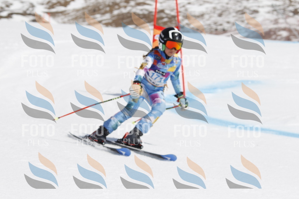 _U3G1571 | holidayphoto