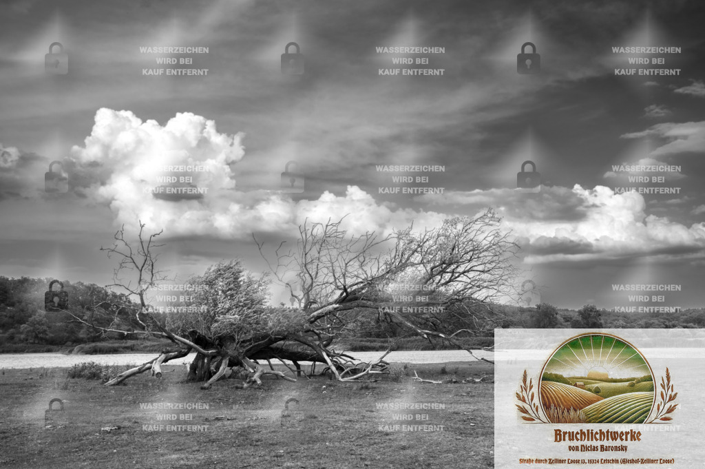 Stillleben | Professioneller Fotograf mit 10 Jahren Erfahrung. Landschafts- und Hochzeitsfotografie im Oderbruch. Workshops und beeindruckende Bilder für besondere Momente.